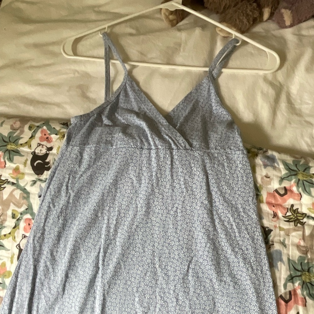 Brandy Melville Blue and Floral Dress